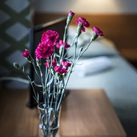 Amicus Zoliborz Bed & Breakfast